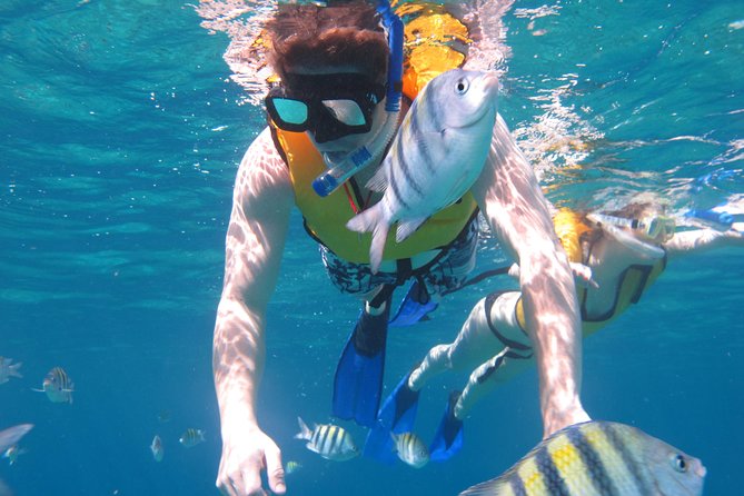 Cozumel Shore Excursion: Playa Uvas Private Beach Pass - Who will enjoy this beach pass?