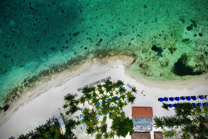 Cozumel: Shore Excursions for Royal Caribbean Cruise Passengers - Shaping your five hours around Cozumel