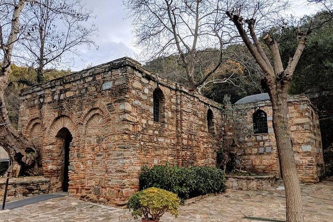 CRUISE PASSENGERS: Ephesus & Terrace Houses & Virgin Mary Tour - Seeing Kusadasi Beyond the Port