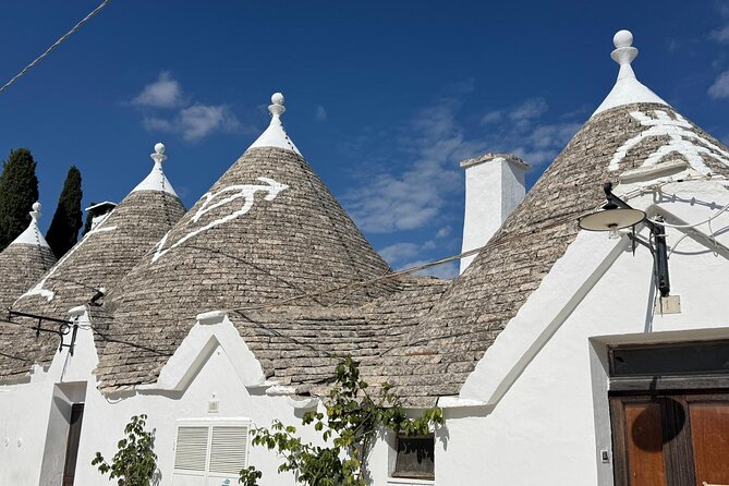 Cruise Passengers - Valle d'Itria Tour: Alberobello, Ostuni - Key points at a glance