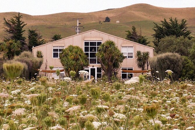 CRUISE SHIP DAY LYTTELTON Hop On Hop Off Wine Tours to Waipara - Estate dining at Waipara Springs and Greystone