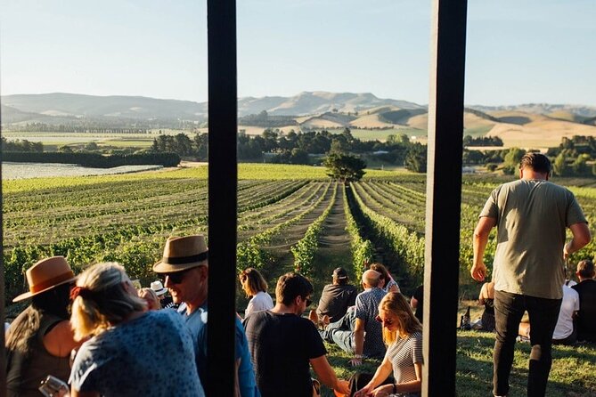CRUISE SHIP DAY LYTTELTON Hop On Hop Off Wine Tours to Waipara - Guides, timing, and the cruise-day reality
