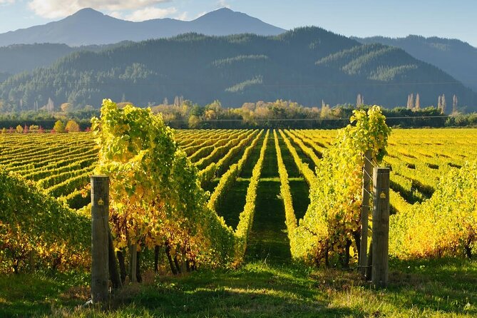CRUISE SHIP DAY Marlborough Hop On Hop Off Wine Tours - Beer, cafés, and family-owned wineries