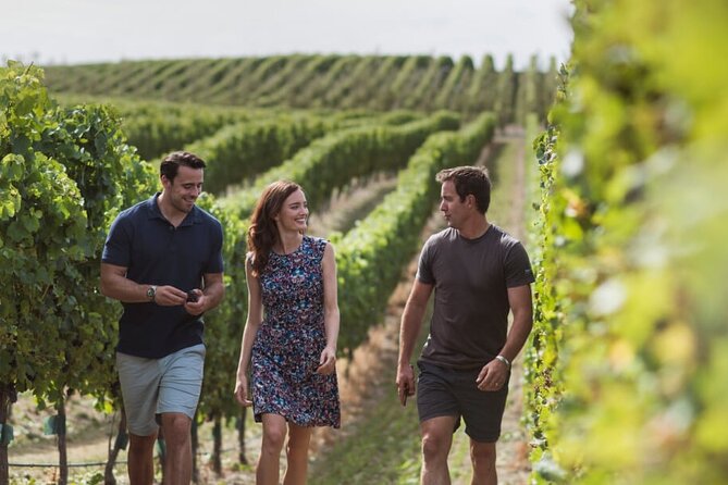 CRUISE SHIP DAY Marlborough Hop On Hop Off Wine Tours - Vines Village, cheese, chocolate, and Riesling