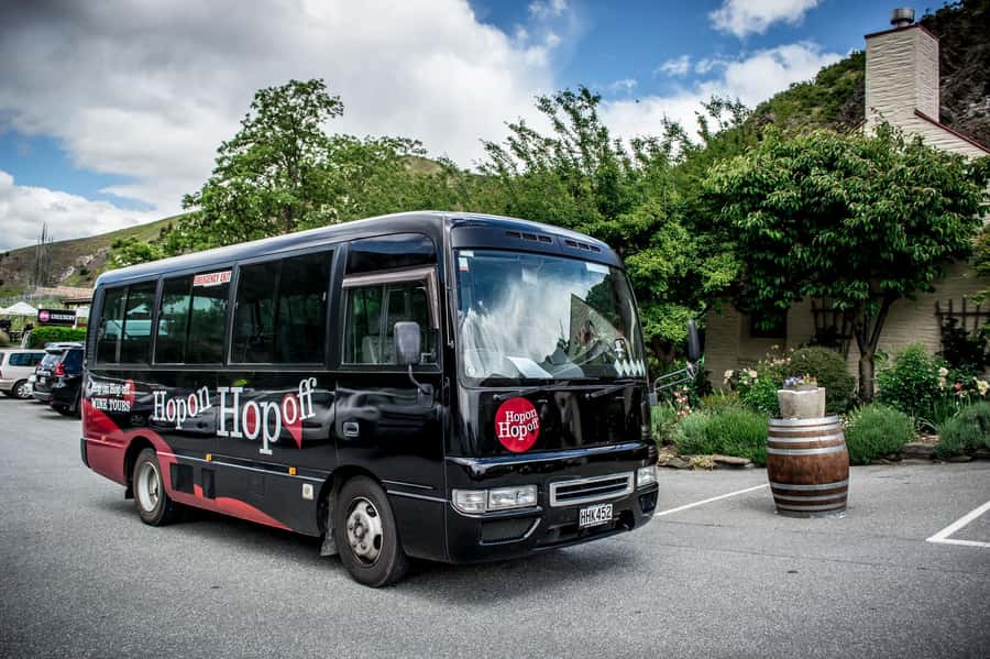 CRUISE SHIP DAYS - HOP ON HOP OFF - Wine, Beer, Food Tour - Why Marlborough works so well for a self-guided day