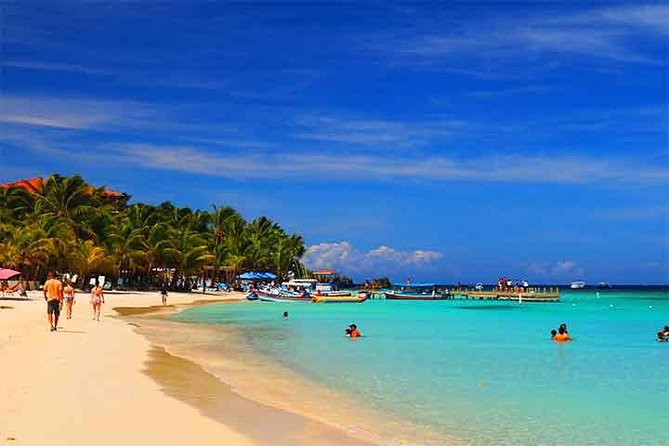Cruise Ship Family Chocolate Factory, Sloths & Monkeys, Beach, Transportation - The Roatan Chocolate Factory in a 30-minute stop