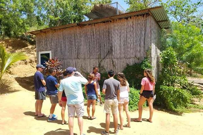Cruise Ship Family Chocolate Factory, Sloths & Monkeys, Beach, Transportation - Guides make or break the day