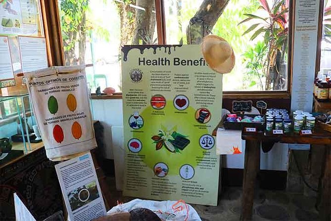 Cruise Ship Family Chocolate Factory, Sloths & Monkeys, Beach, Transportation - Timing, cruise safety, and who should book