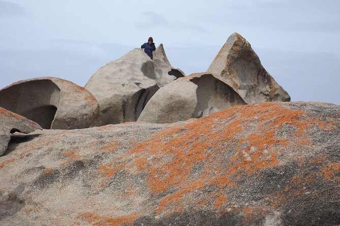Cruise Ship Flinders Chase Tour - Admirals Arch adds wind, rock, and sea lions
