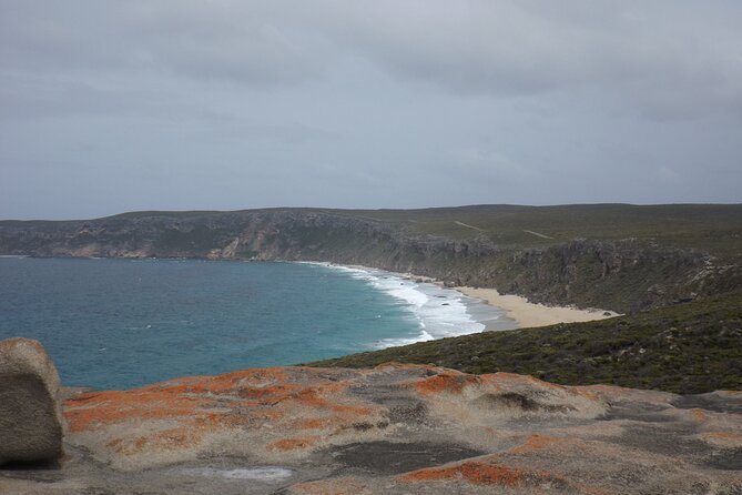 Cruise Ship Flinders Chase Tour - Flinders Chase National Park ties the sights together