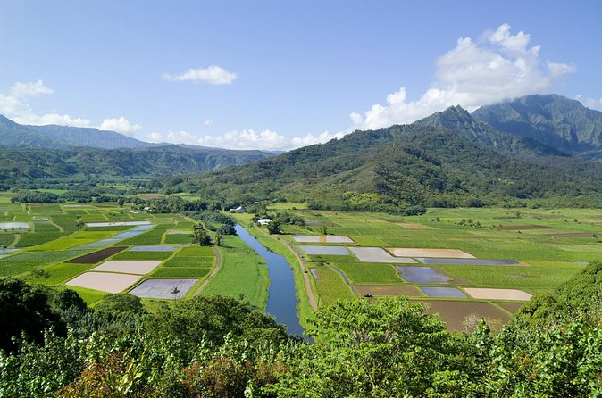 Cruise Ship Shore Excursion: Kauai Movie Sites Tour - Hanamaulu and Opaeka‘a show the island’s older film side