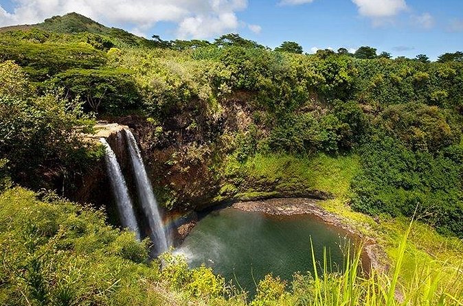 Cruise Ship Shore Excursion: Kauai Movie Sites Tour - Roads, beaches, and fields become movie sets