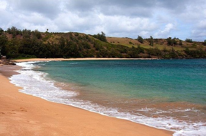 Cruise Ship Shore Excursion: Kauai Movie Sites Tour - Kīlauea Lighthouse brings a different kind of scenery