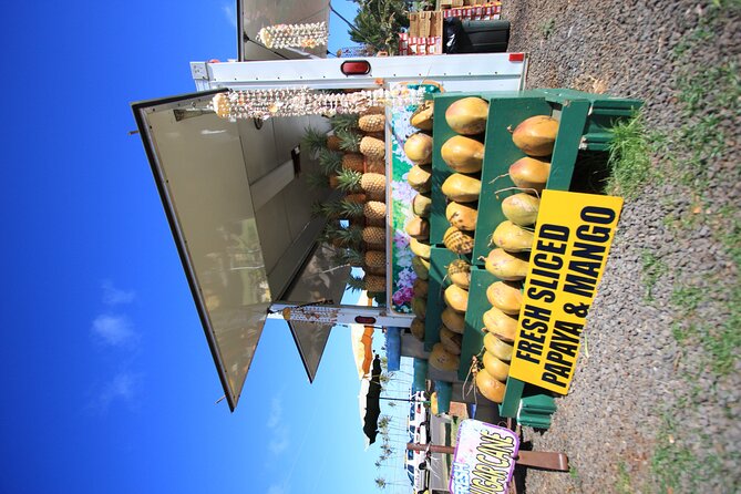 Cruise Ship Shore Excursion: Kauai Movie Sites Tour - Hanalei Pier is the day’s most memorable finish