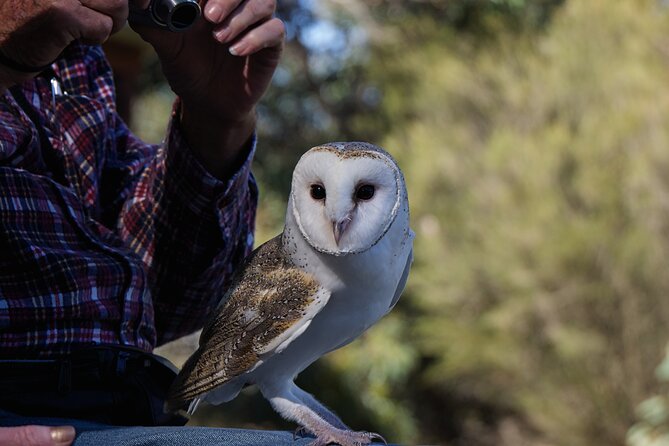 CRUISE SHIP Wildlife Tour - Timing, meeting point, and cruise ship practicalities