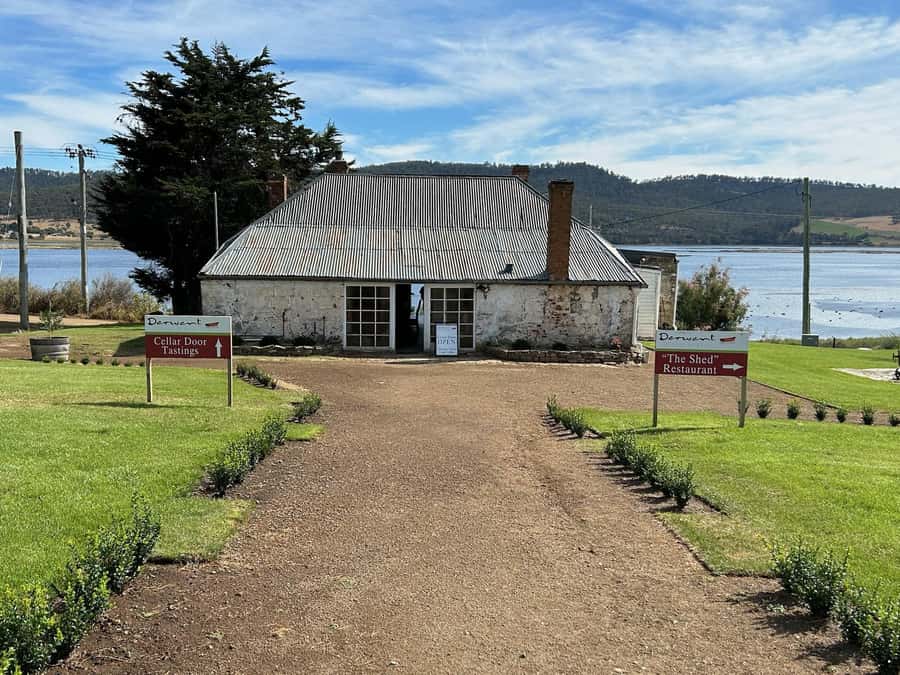 Cruise Ship - Wine Shore Excursion - Hobart - Why this Hobart wine trip works for cruise passengers