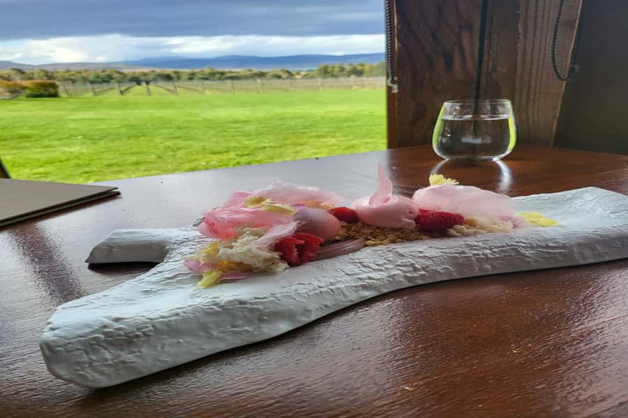 Cruise Ship - Wine Shore Excursion - Hobart - Is $155 good value?