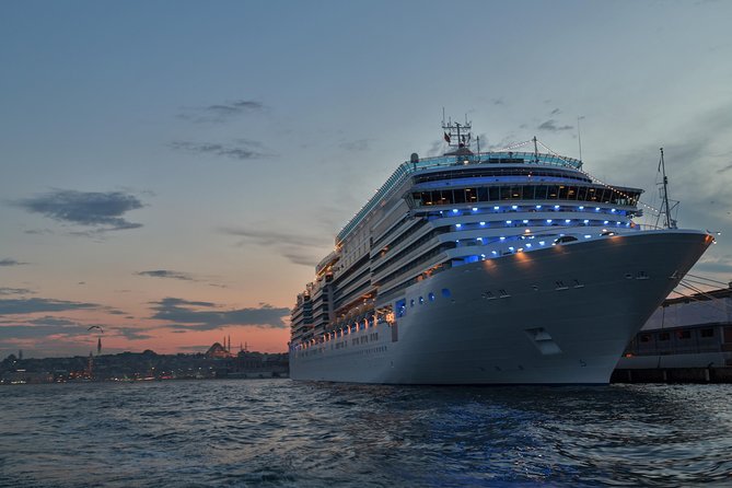 Cruise Shore Excursion - Best of Istanbul - Why this Istanbul shore excursion works well