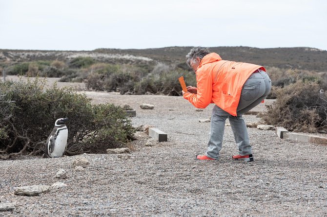 Cruise Shore Excursion Ea San Lorenzo Peninsula Valdes - Patagonia - Argentina - The long ride from Puerto Madryn