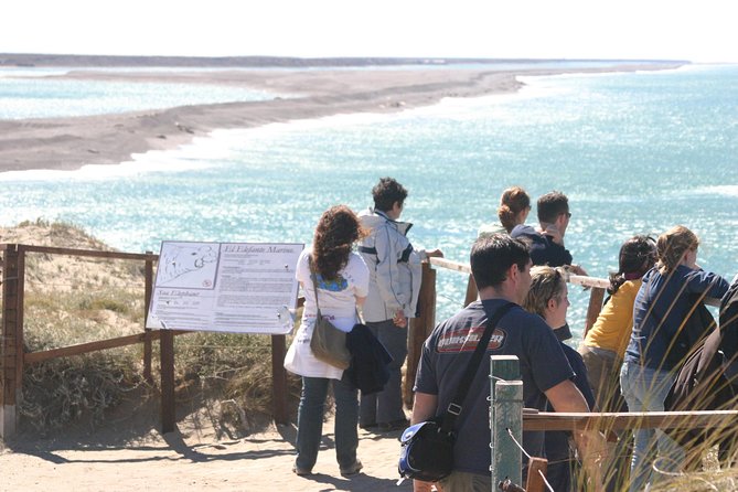 Cruise Shore Excursion Peninsula Valdes - Pto Madryn - Patagonia - Argentina - Penguins, with an important seasonal warning