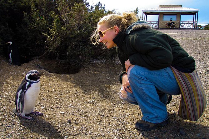 Cruise Shore Excursion Punta Tombo with Boxlunch from Pto Madryn - Punta Tombo’s penguin colony and interpretation center