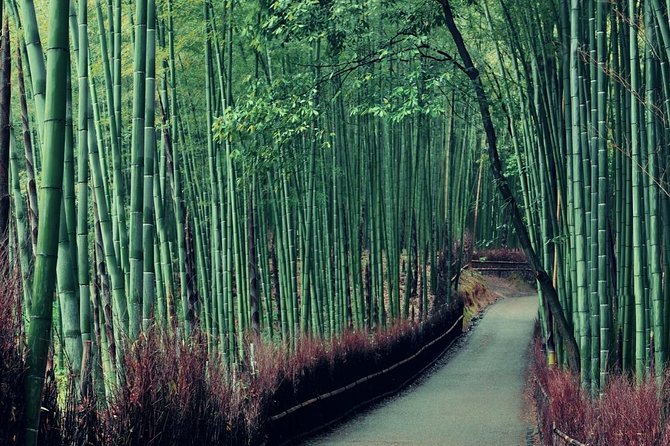 Cruise Stop-Over: Private Custom Day trip to Kyoto from Kobe Port - Kyoto Imperial Palace and the city’s royal past