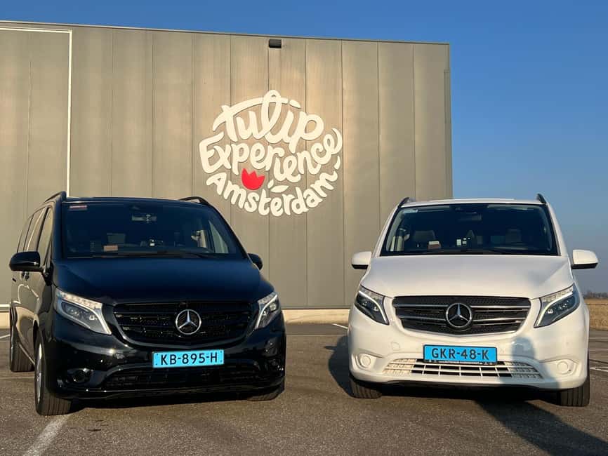Cruise Terminal Rotterdam: Private Tour by Luxury Van - Key points to know before booking