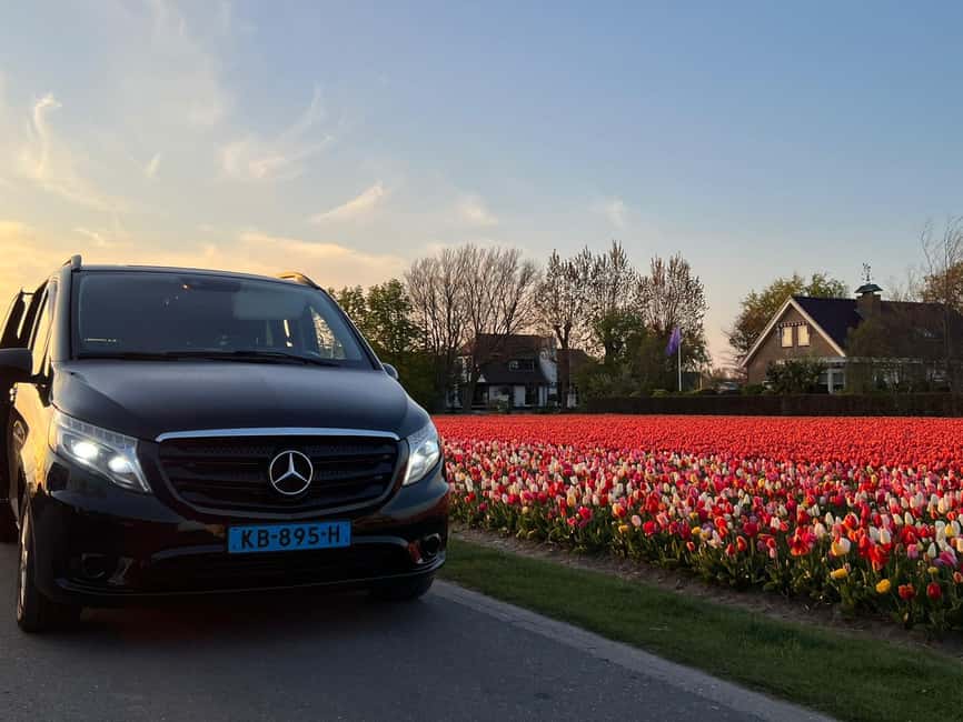 Cruise Terminal Rotterdam: Private Tour by Luxury Van - What this Rotterdam shore excursion really offers