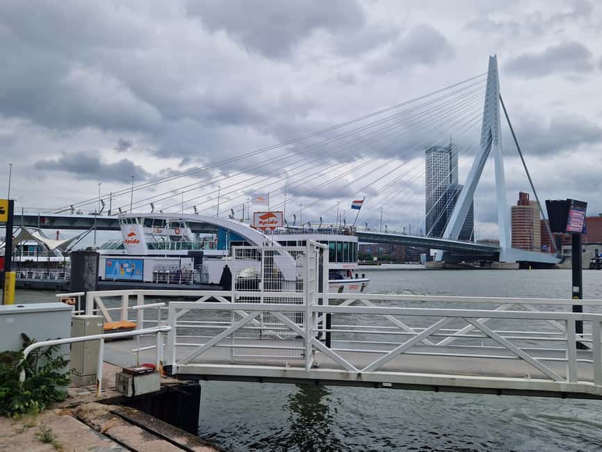 Cruise Terminal Rotterdam: Private Tour by Luxury Van - Keukenhof: a seasonal choice for flower lovers