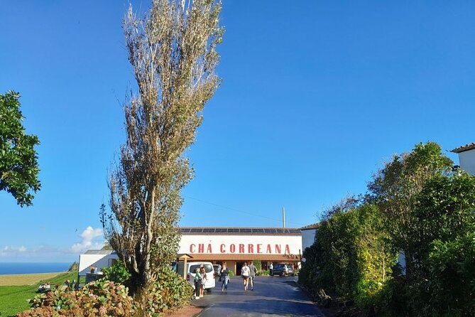 Cruise Travellers : Furnas Volcano & Terra Nostra Thermal Pool - Gorreana Tea Plantation, a rare European tea stop