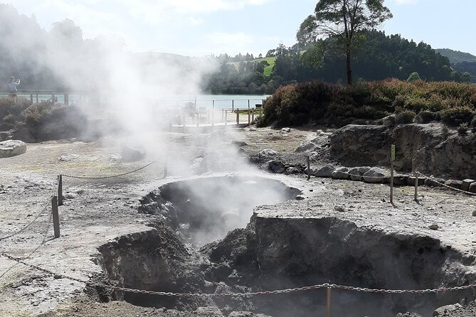 Cruise Travellers: Shore Excursion Sete Cidades & Furnas Volcano - Who should book this excursion?