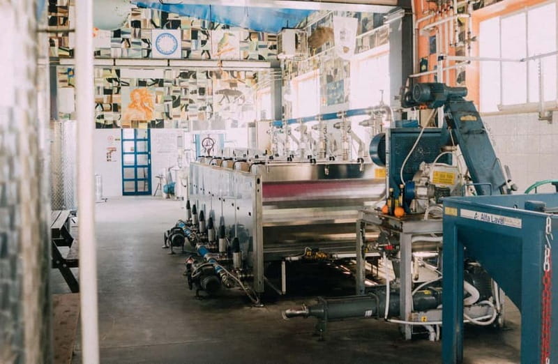 Cured Meat & Olive Oil Tasting & Visit near Pisa & Livorno - Inside the traditional oil mill