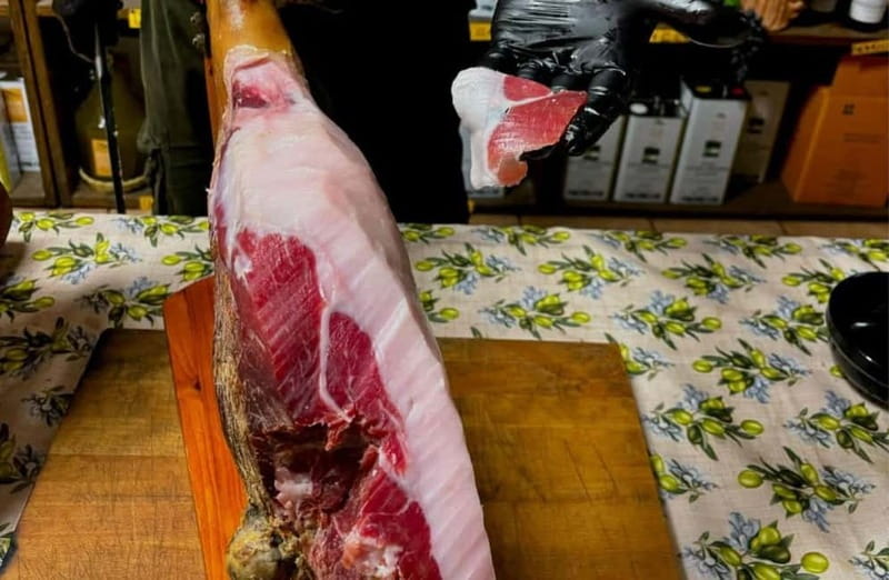 Cured Meat & Olive Oil Tasting & Visit near Pisa & Livorno - Should you book this Tuscan tasting?