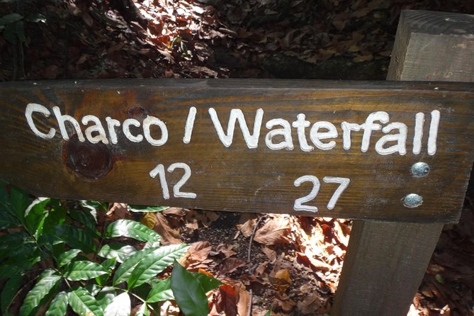 Damajagua Waterfalls for Cruise Ship Passengers - Is the $89 Price Good Value?