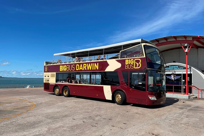 Darwin Shore Excursion: Hop-on Hop-off Bus Tour - The morning loop: a one-hour introduction