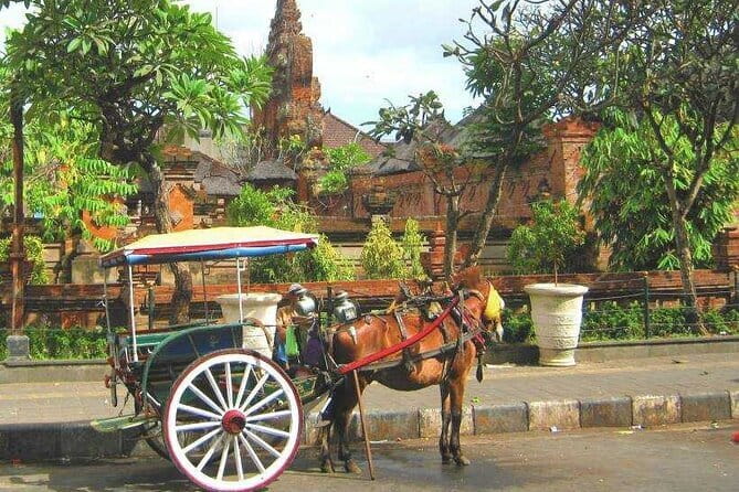 Discover Bali : Shore Excursion from Benoa Port with Free Wi-Fi - Five useful things to know before you go
