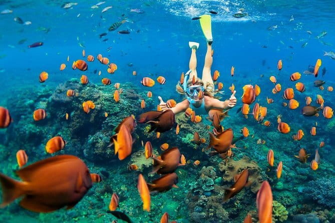 Discover Bali : Shore Excursion from Benoa Port with Free Wi-Fi - A private guide can make or break the day