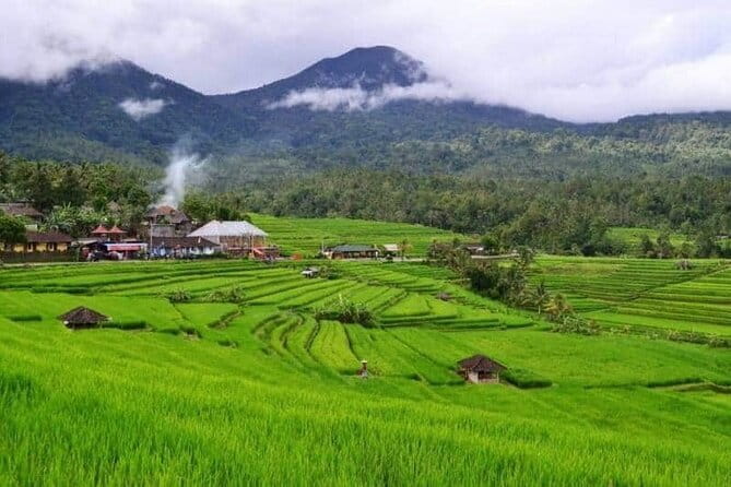 Discover Bali : Shore Excursion from Benoa Port with Free Wi-Fi - Food, fees, and what to pack