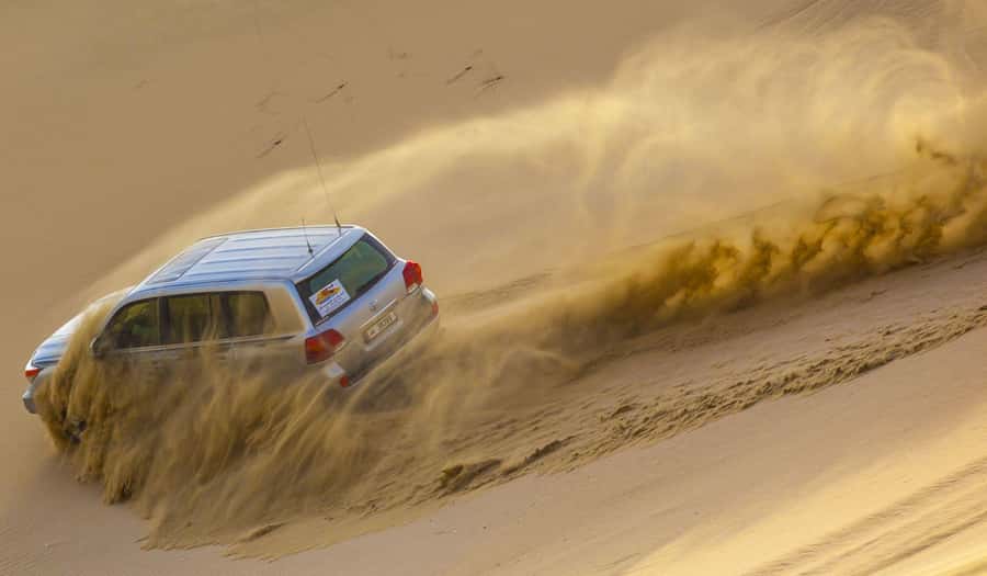 Doha: Desert safari + FREE camel ride from CRUISE TERMINAL - A gentle camel ride and Bedouin tea