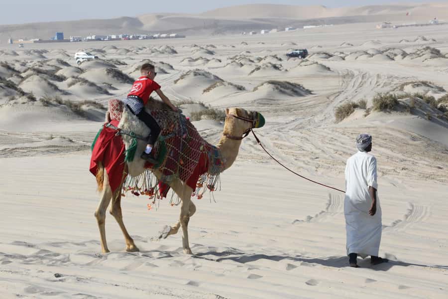 Doha: Desert safari + FREE camel ride from CRUISE TERMINAL - Who will get the most from this safari