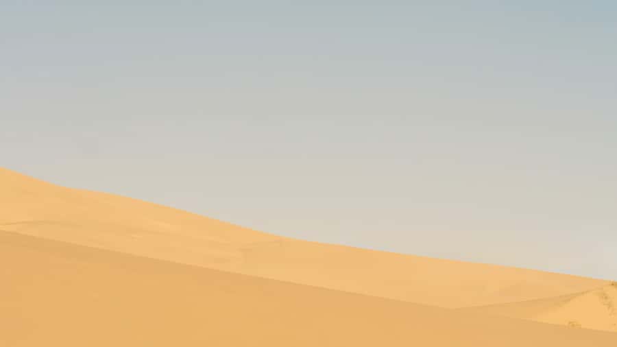 Doha: Half Day Desert Safari From Airport/Hotel/Cruise Port - From Doha to Mesaieed in a 4x4