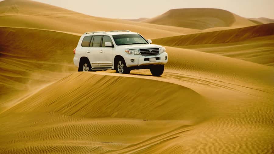 Doha: Half Day Desert Safari From Airport/Hotel/Cruise Port - Forty-five minutes of dune bashing