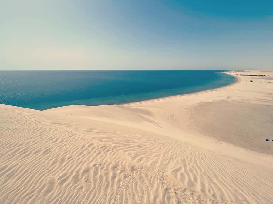Doha: Half Day Desert Safari From Airport/Hotel/Cruise Port - Guides, driving, and the shared group setup