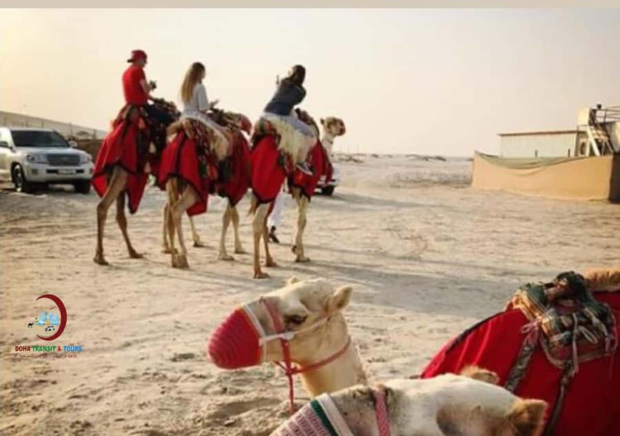 Doha: Half Day Desert Safari From Airport/Hotel/Cruise Port - Is $65 a fair price?