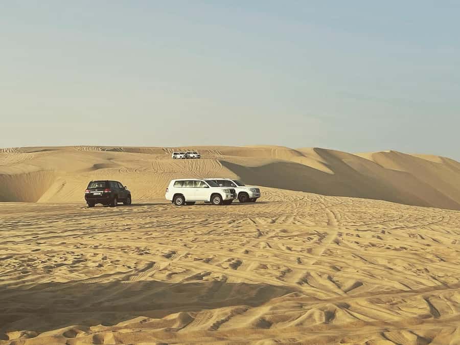 Doha: Half Day Desert Safari From Airport/Hotel/Cruise Port - A quick camel ride near Mesaieed