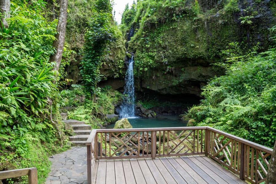 Dominica: Emerald Pool and Mero Beach Shore Excursion - Key points to know before you go