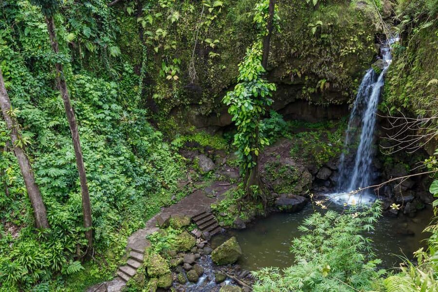 Dominica: Emerald Pool and Mero Beach Shore Excursion - Why this combination works so well