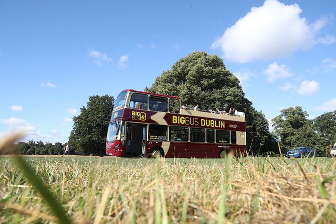 Dublin Shore Excursion, Live Guided Open-top, Hop-on Hop-off Sightseeing Tour - Live guides, language options, and the open roof