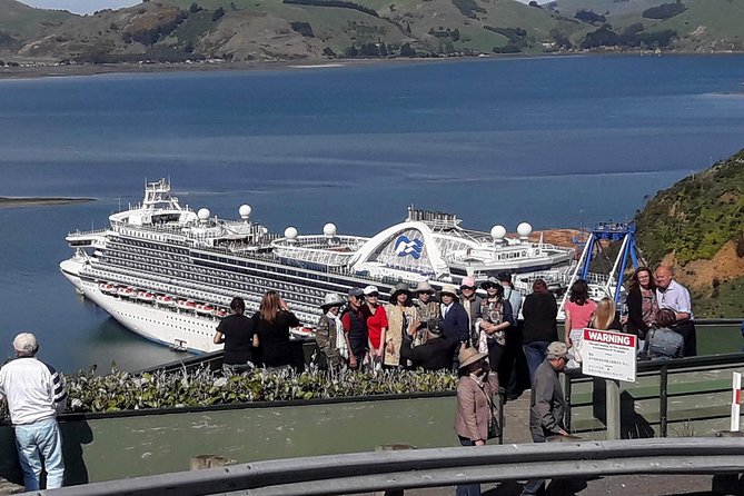 Dunedin Nature & City Tour – Full Day Cruise Excursion - Key points to know before booking