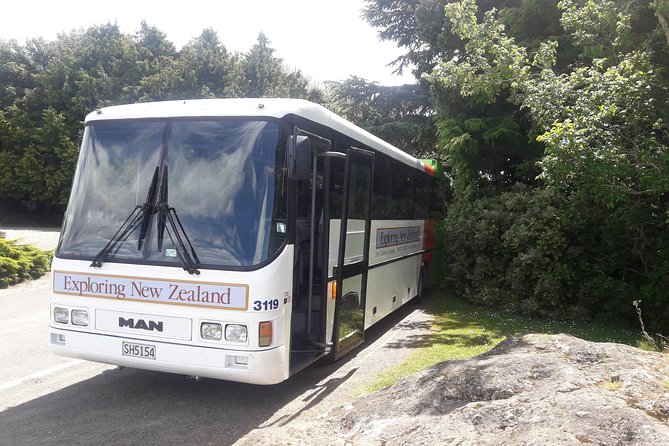 Dunedin Nature & City Tour – Full Day Cruise Excursion - Why this makes sense from Port Chalmers